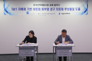 발행물